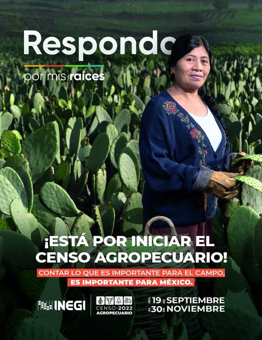 1668257765 Si eres productor agricola ganadero o forestal mantente pendiente