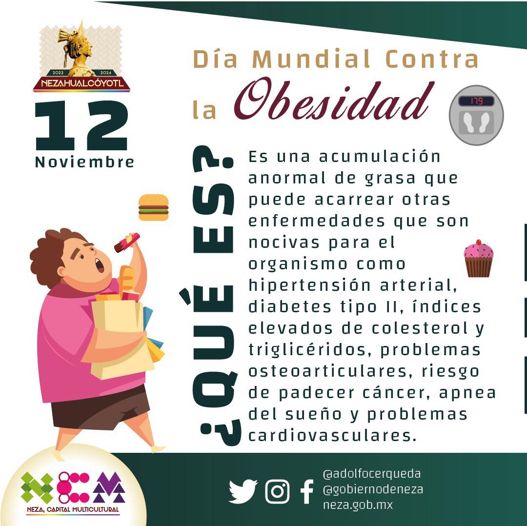 1668275188 Efemeride Hoy conmemoramos el DiaMundialContra la Obesidad a fin