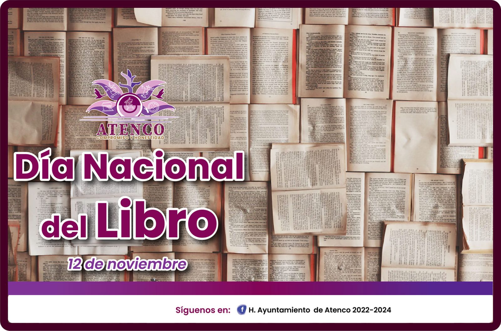 1668376981 Dia Nacional del Libro en