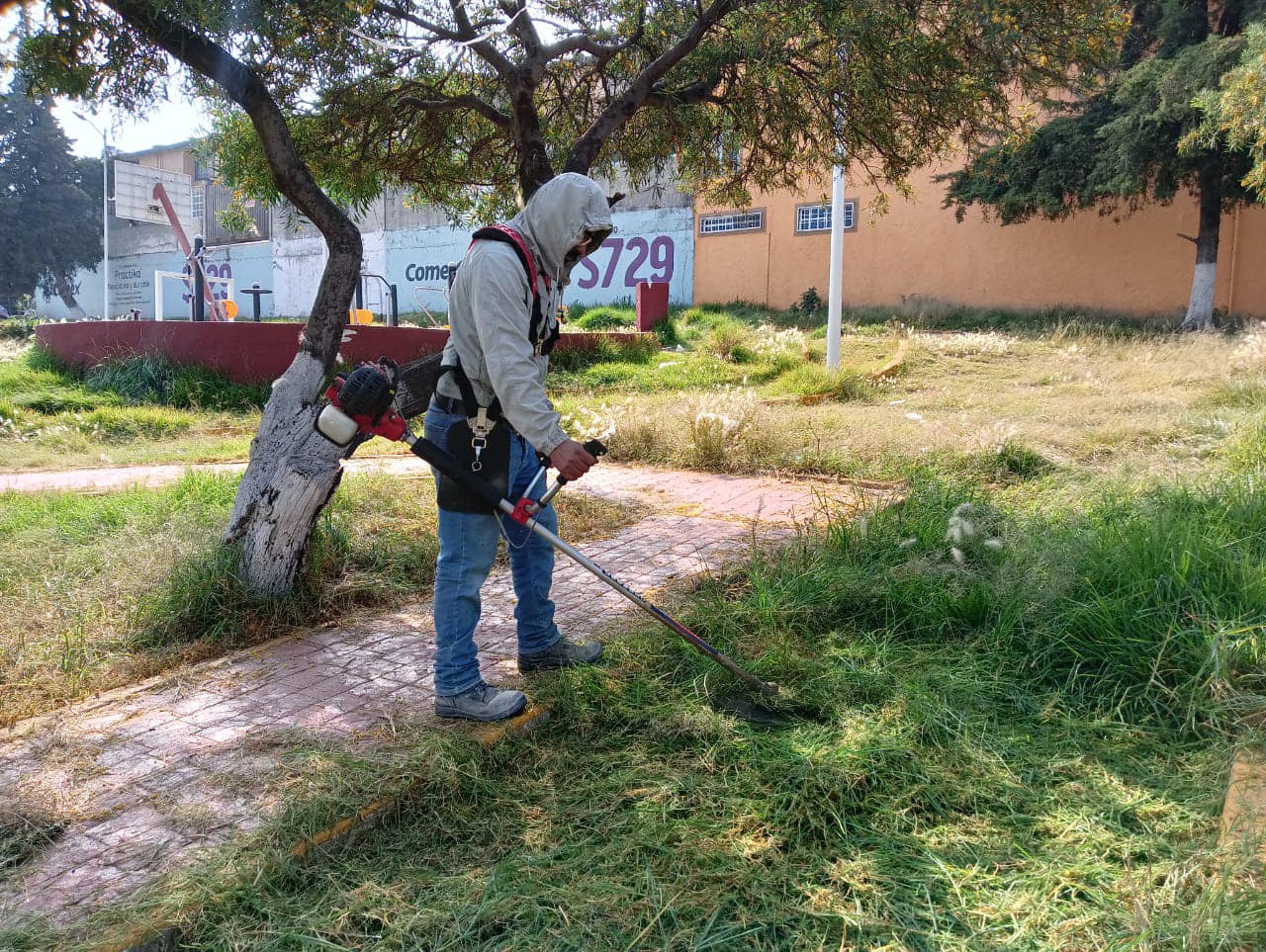 1668383877 JornadasDeLimpiezaA traves del gobierno que encabeza nuestro presidente municip