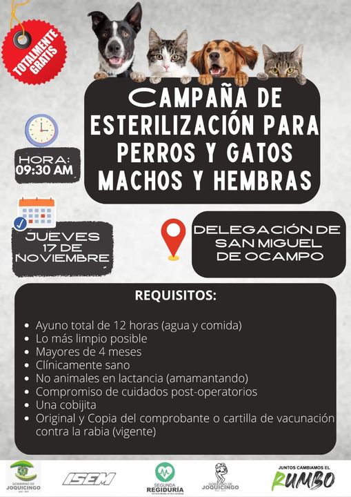 1668516649 Atencion San Miguel de Ocampo Este jueves 17 de noviembre