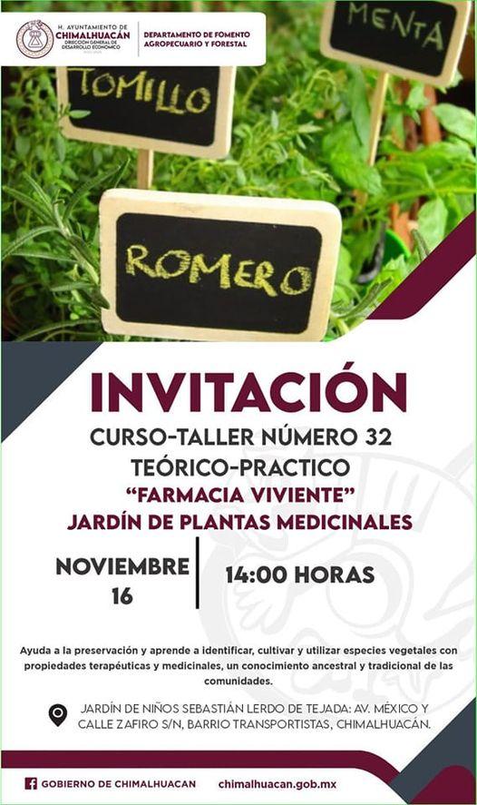 1668547512 Aprende a identificar cultivar y utilizar especies vegetales con propiedades