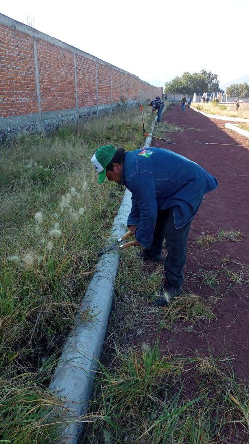 1668553933 674 La coordinacion de ParquesyJardines de la direccion de ServiciosPublicos reali