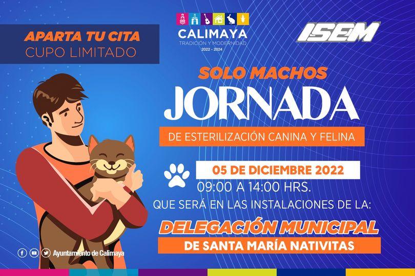 1668636810 IMPORTANTE EL REGISTRO ES PARA UNA MASCOTA