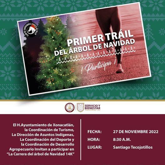 1668638170 Te invitamos a disfrutar de la carrera del arbol de