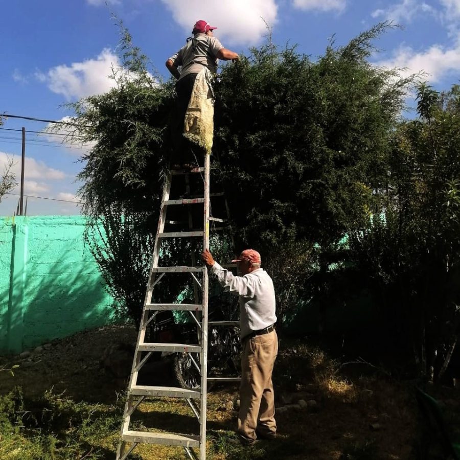 1668692577 792 MedioAmbiente MANTENIMIENTO Se continuan realizando trabajos de mantenimient