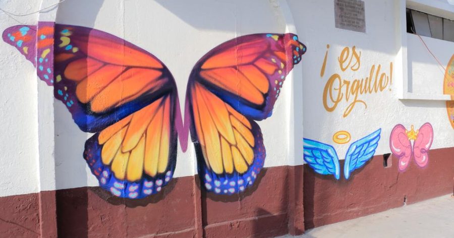 1668704873 673 ¿Ya viste las alas de Otzolotepec ¡SEKTA URBAN ART continua