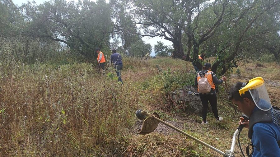 1668706799 891 El Ayuntamiento de Texcoco realiza mantenimiento en el Parque Nacional