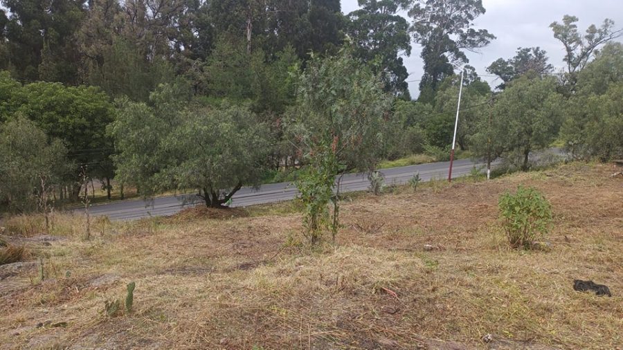 1668706800 513 El Ayuntamiento de Texcoco realiza mantenimiento en el Parque Nacional