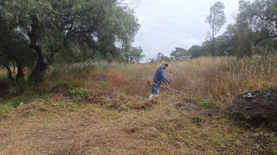 1668706800 753 El Ayuntamiento de Texcoco realiza mantenimiento en el Parque Nacional