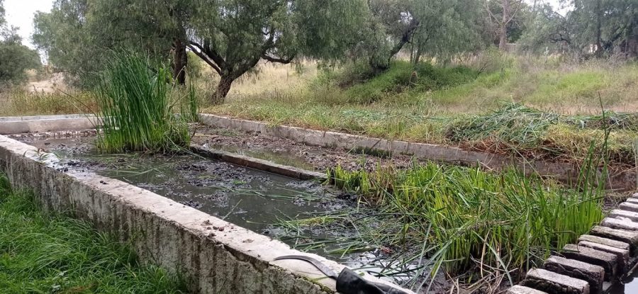 1668706800 848 El Ayuntamiento de Texcoco realiza mantenimiento en el Parque Nacional