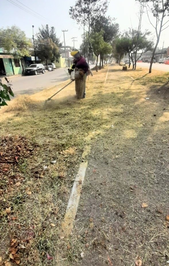 1668707831 125 ImagenUrbana Servicios Publicos llevo a cabo trabajos de limpieza