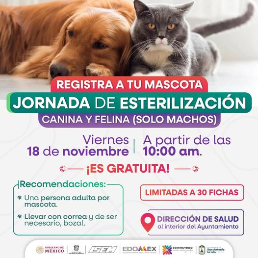 1668714748 Aun puedes registrar a a tu mascota para esterilizacion