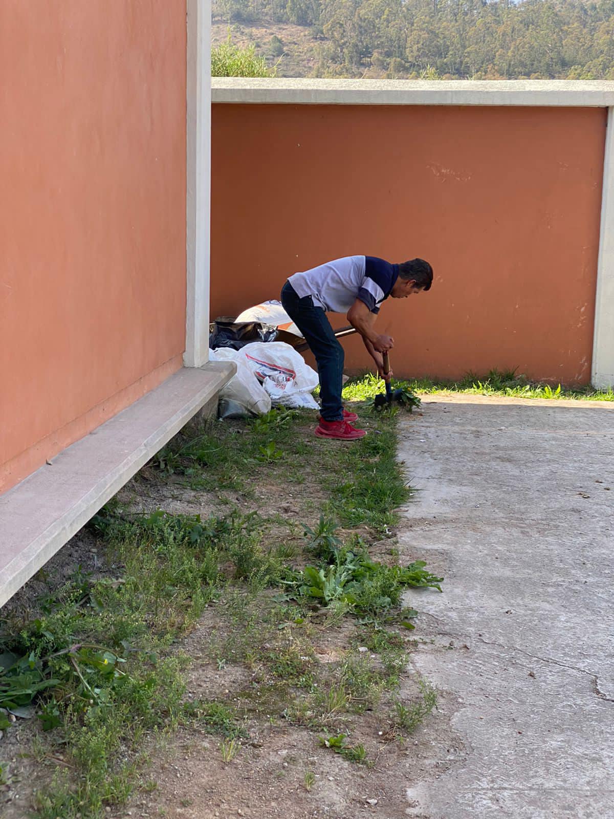 1668779277 992 Toco jornada de limpieza en la preparatoria de Apipilhuasco donde