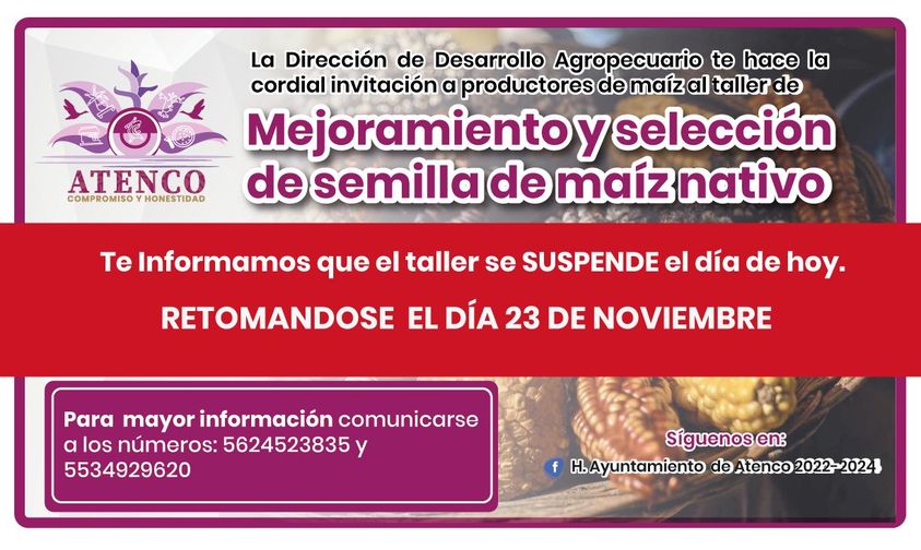 1668782462 Te informamos que el Taller de Mejoramiento y Seleccion de