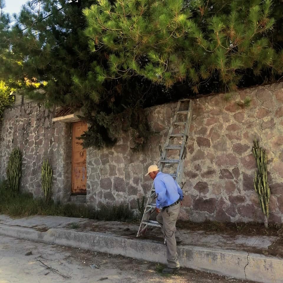 1668803775 20 Se atendieron peticiones de la ciudadania en poda de arboles