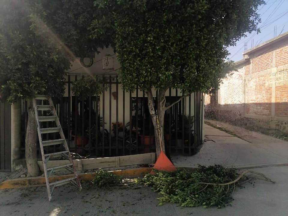 1668803775 37 Se atendieron peticiones de la ciudadania en poda de arboles