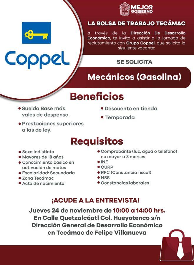 1668809595 166 ¿Buscas trabajo No pierdas la oportunidad de aplicar para estas