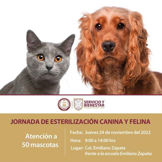 1668813900 La salud de nuestras mascotas es responsabilidad de todas y