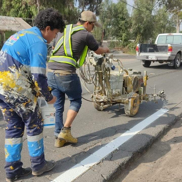 1668861675 536 Esta manana personal de la Coordinacion de Parques y Jardines