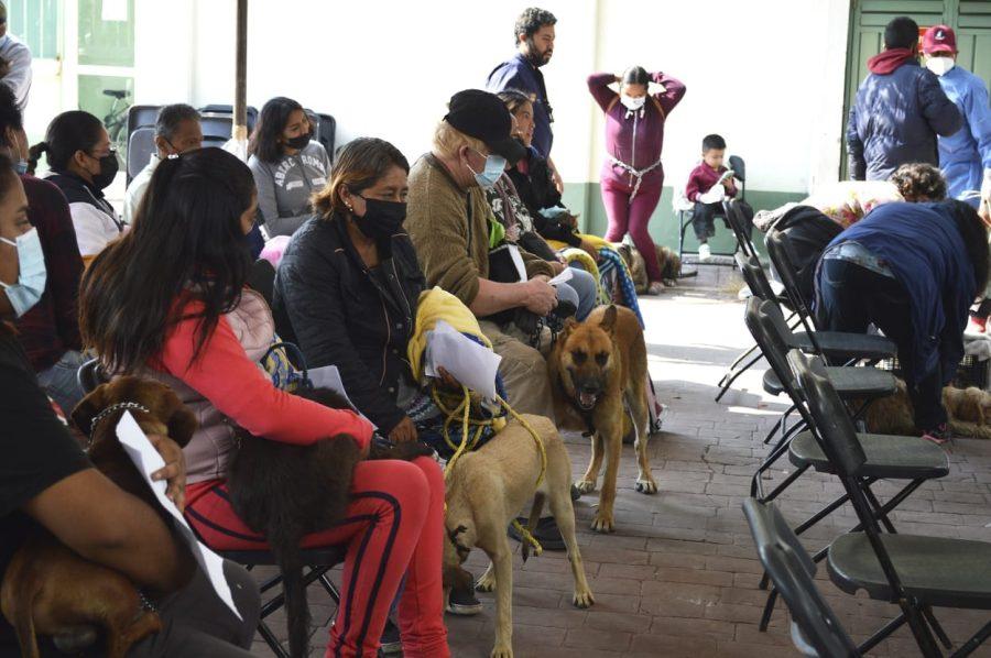 1668862808 560 CHIMALHUACAN PROMUEVE EL BIENESTAR ANIMAL CON ESTERILIZACIONES ATENCION MEDICA