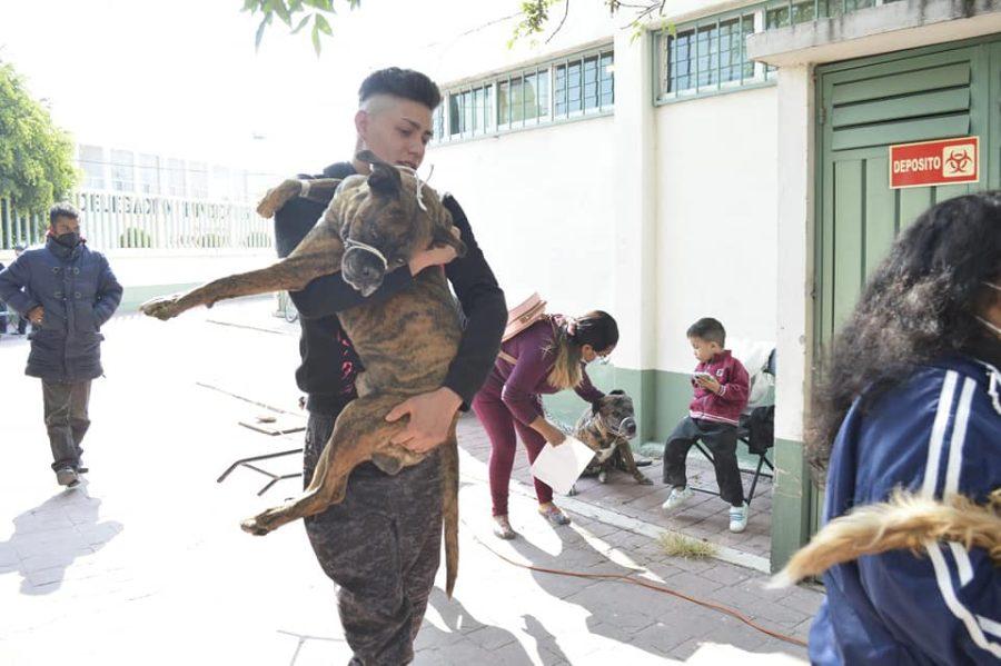 1668862816 CHIMALHUACAN PROMUEVE EL BIENESTAR ANIMAL CON ESTERILIZACIONES ATENCION MEDICA