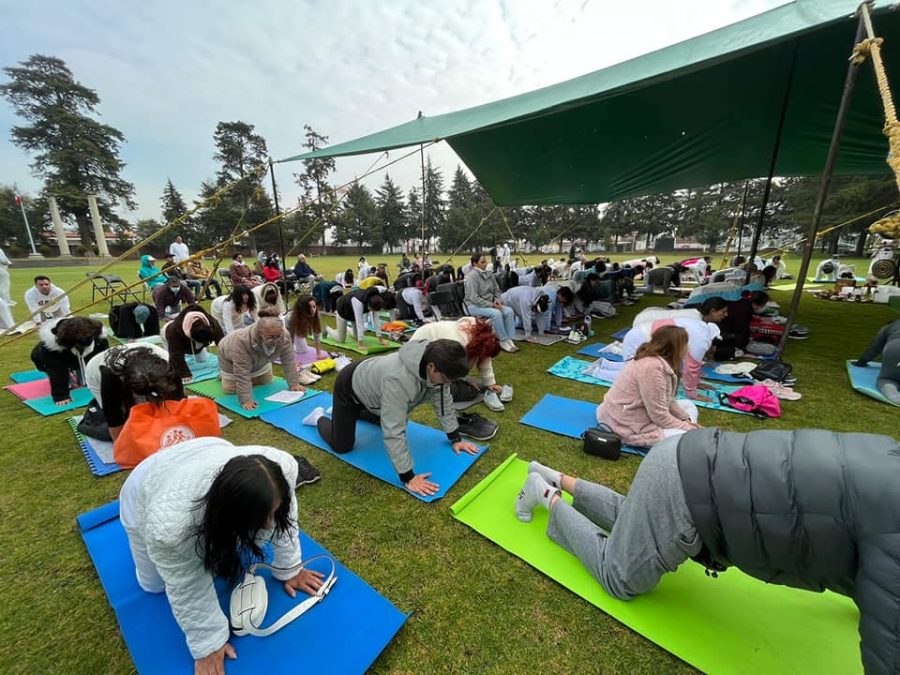 1668900219 636 Asi se vivio la clase de meditacion en parque Providencia