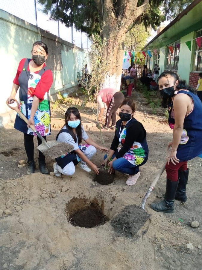 1669158543 375 INSTAURAN JARDIN DE PLANTAS MEDICINALES EN PREESCOLAR DE CHIMALHUACAN