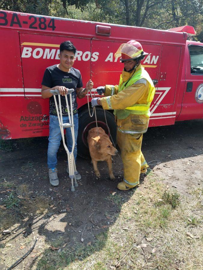 1669159401 226 Se atiende reporte de rescate de un perro que cayo