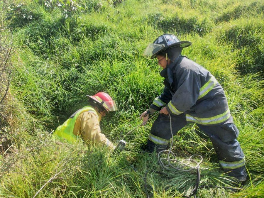 1669159401 418 Se atiende reporte de rescate de un perro que cayo