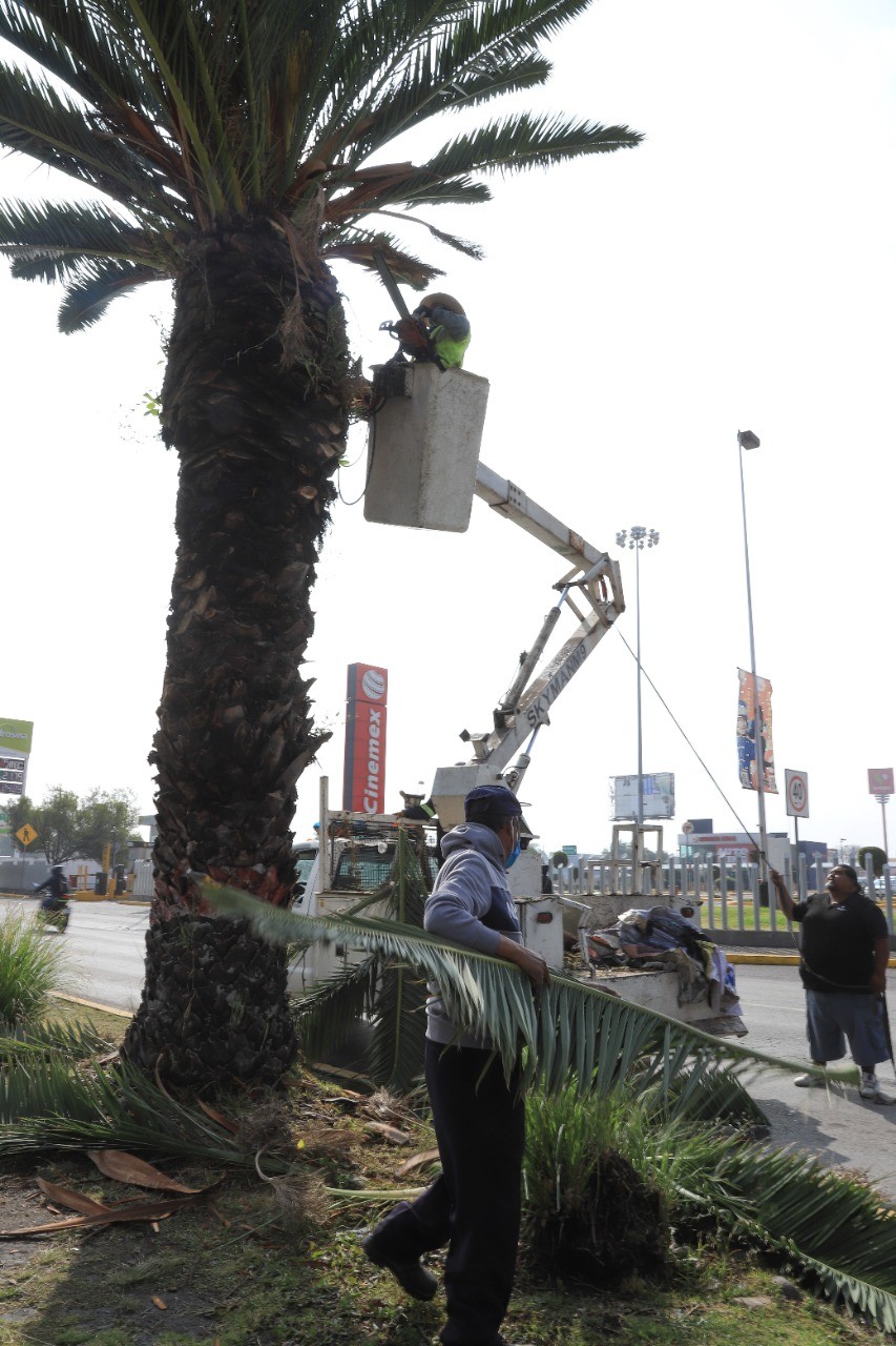 1669221464 118 Sobre la carretera Melchor Ocampo Cuautitlan se lleva a cabo el