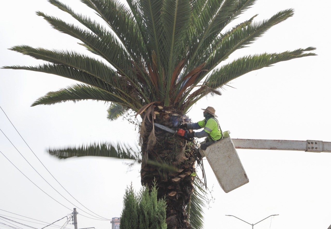 1669221465 179 Sobre la carretera Melchor Ocampo Cuautitlan se lleva a cabo el