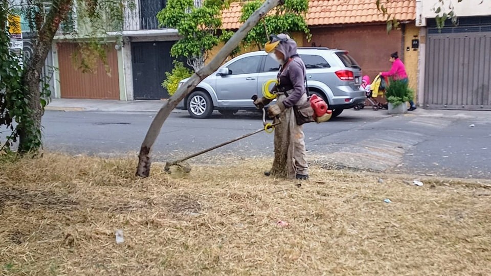 1669234869 423 ImagenUrbana Servicios Publicos llevo a cabo trabajos de limpieza