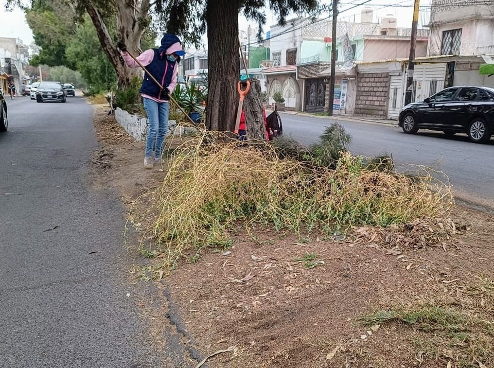 1669234869 501 ImagenUrbana Servicios Publicos llevo a cabo trabajos de limpieza