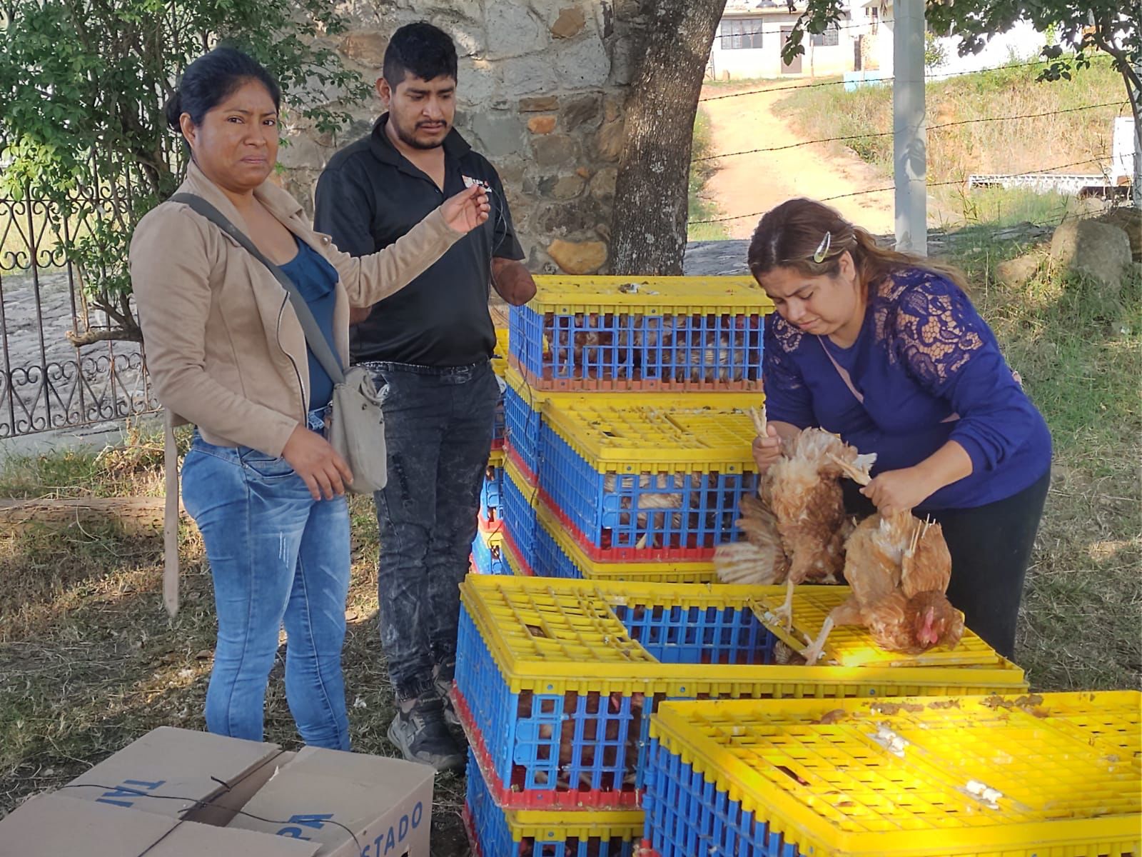 1669238990 887 DireccionDeLaMujer Por encomienda del presidente de Tejupilco Lic Rigobert