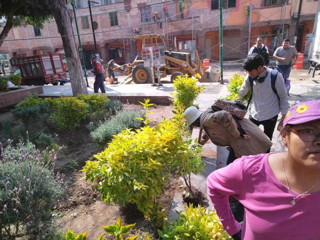 1669301678 144 REALIZAN REUBICACION DE PLANTAS DURANTA PARA CUIDADO Y PRESERVACION DE