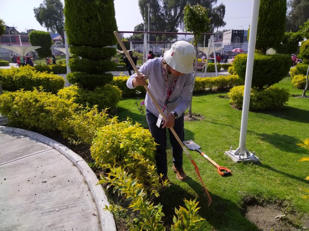 1669301678 862 REALIZAN REUBICACION DE PLANTAS DURANTA PARA CUIDADO Y PRESERVACION DE