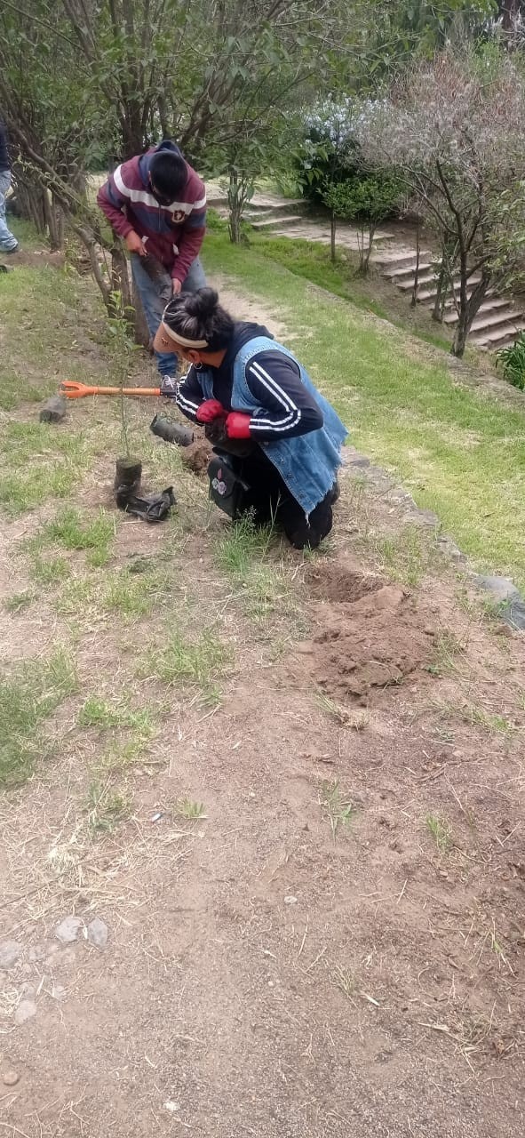 1669307461 517 El Ayuntamiento de Texcoco realiza faenas permanentes de reforestacion en