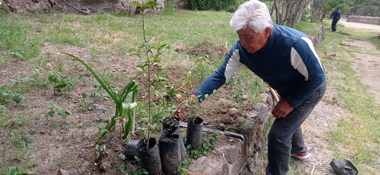 1669307475 El Ayuntamiento de Texcoco realiza faenas permanentes de reforestacion en