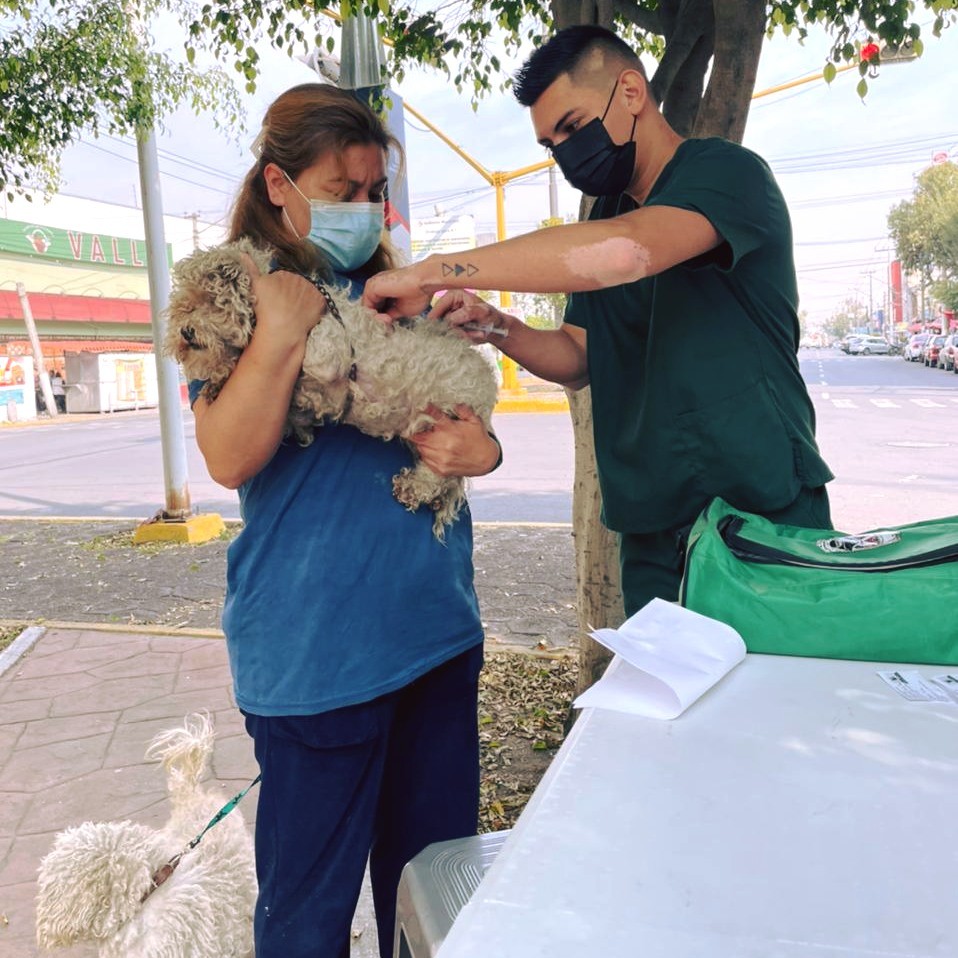 1669330346 Vacunar a nuestras mascotas contra la Rabia es cuidar de