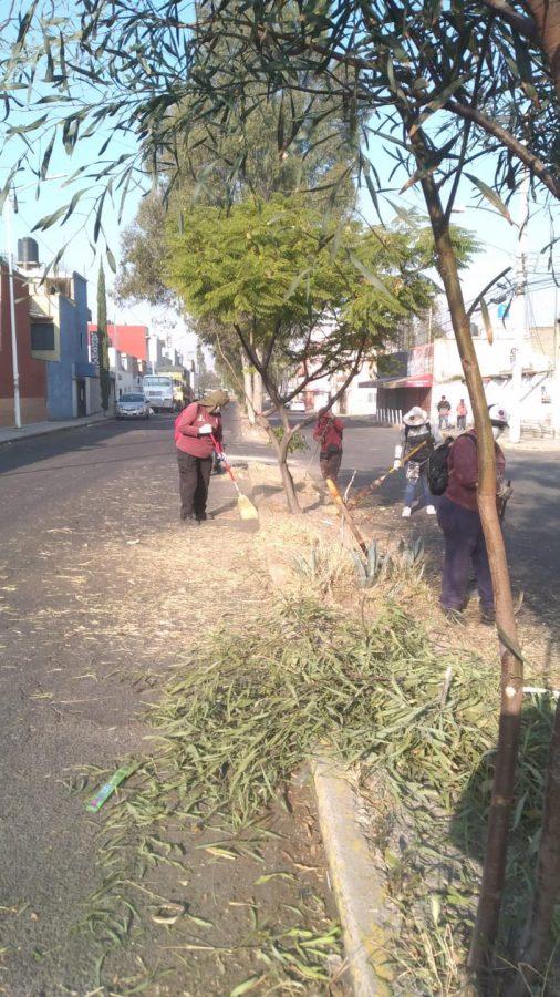 1669395588 371 ServiciosPublicos Con el objetivo de continuar mejorando la ImagenUrbana