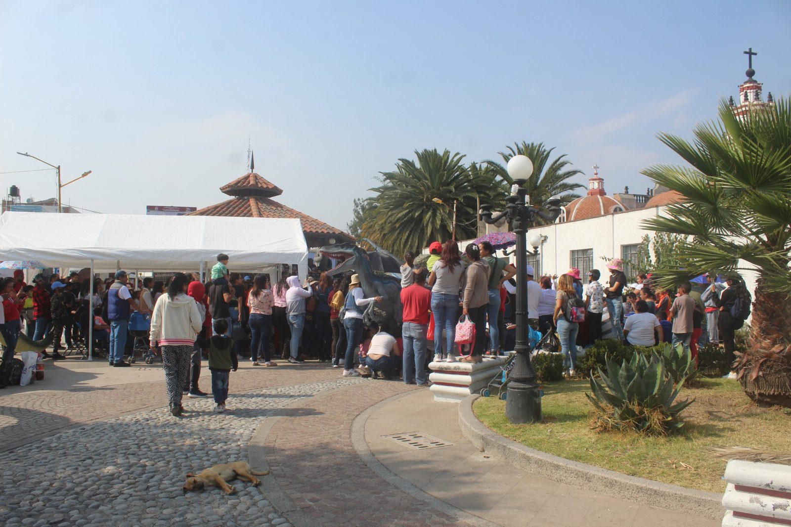 1669466387 877 ¡¡¡DIA 8 DE LA FERIA INTERNACIONAL DE LA MEZCLILLA NEXTLALPAN