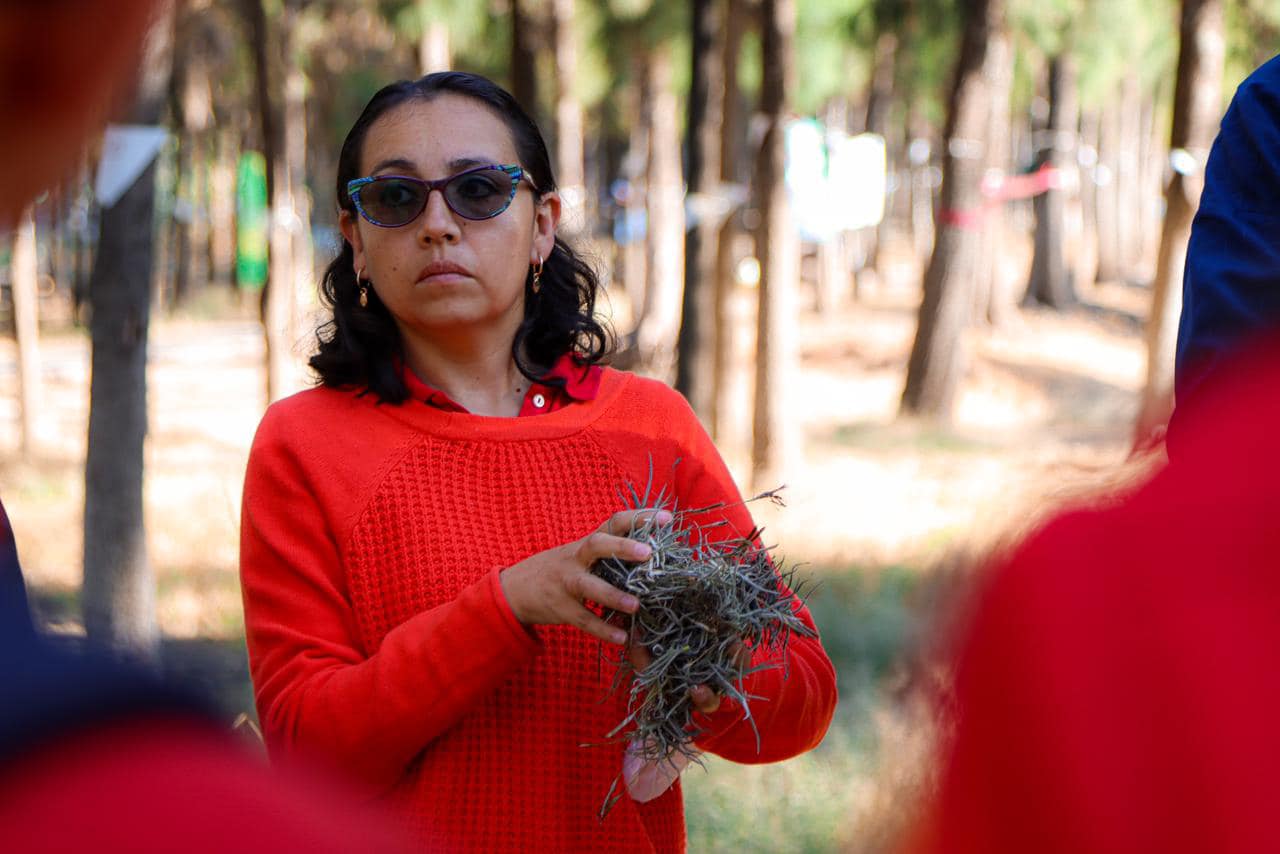 1669566666 704 Porque la preservacion de nuestro medio ambiente y entornos naturales