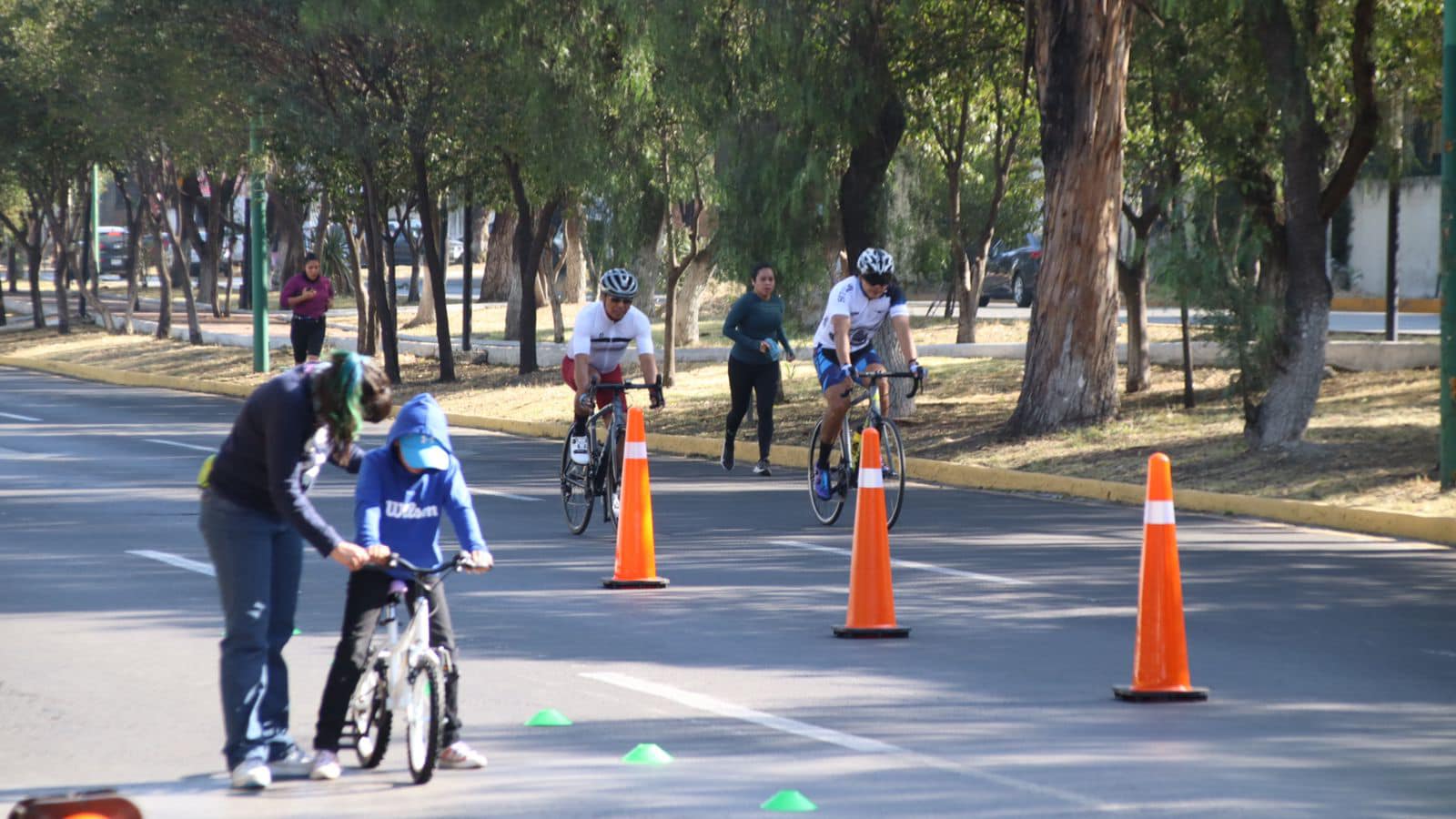 1669581331 188 A fin de fomentar la movilidad activa y la cultura