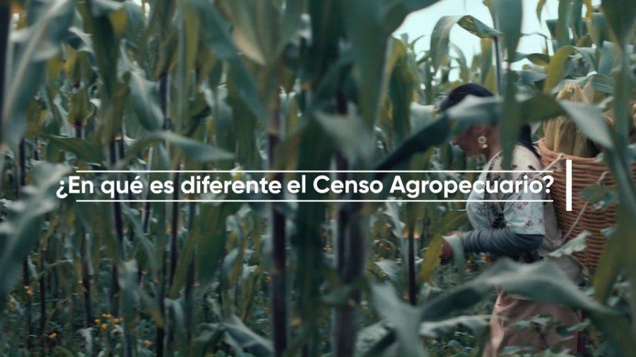 1669656203 Tu participacion en el censo agropecuario 2022 cuenta mucho