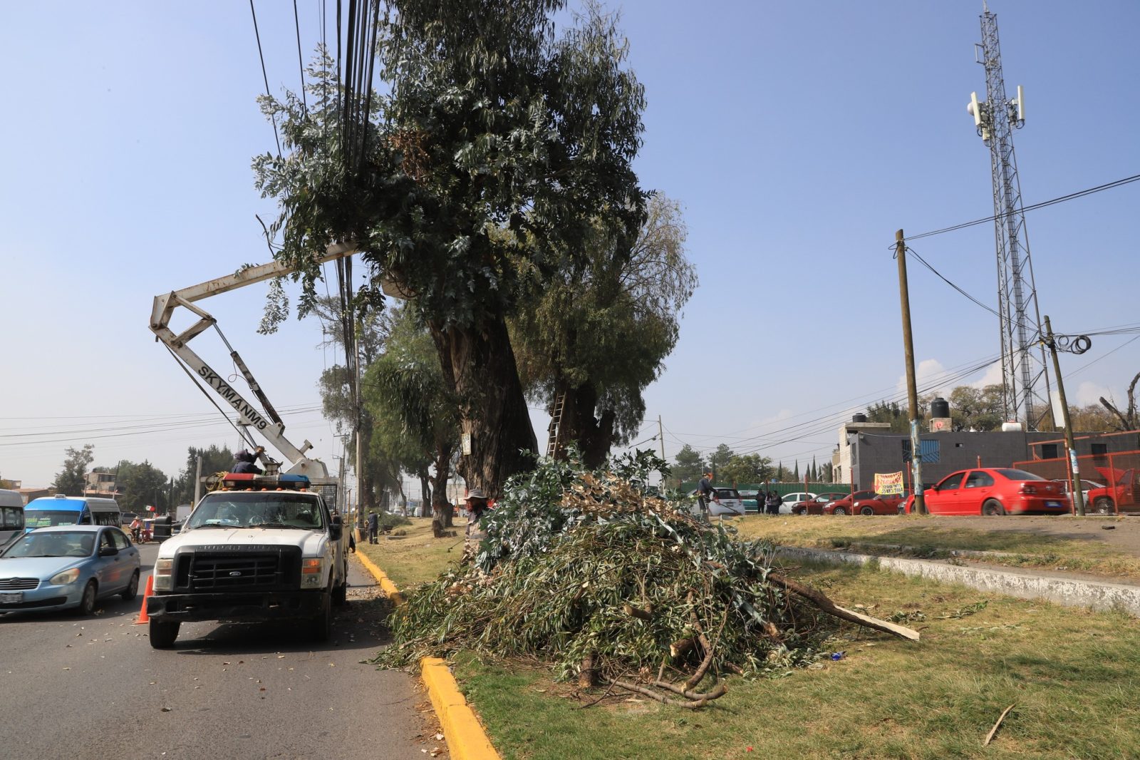 1669733342 629 Con los trabajos de desmalezado y corte de pasto en