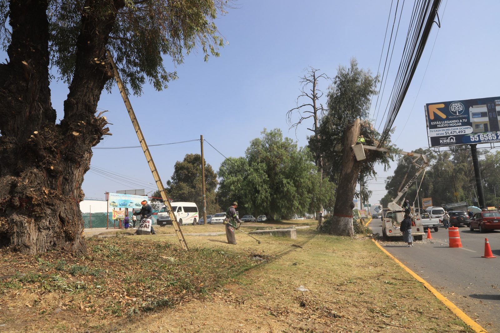 1669733343 30 Con los trabajos de desmalezado y corte de pasto en