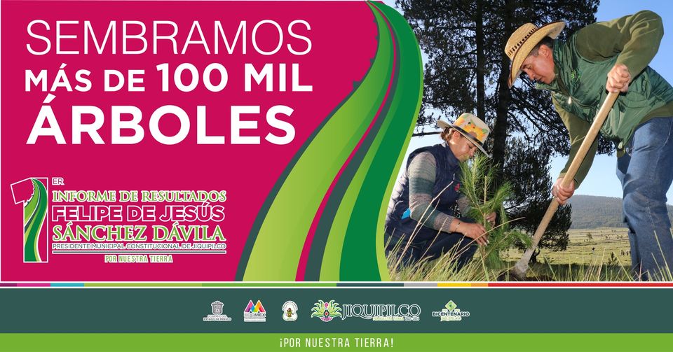 1669739830 MEDIO AMBIENTE Juntos logramos sembrar 100 mil arboles en territorio