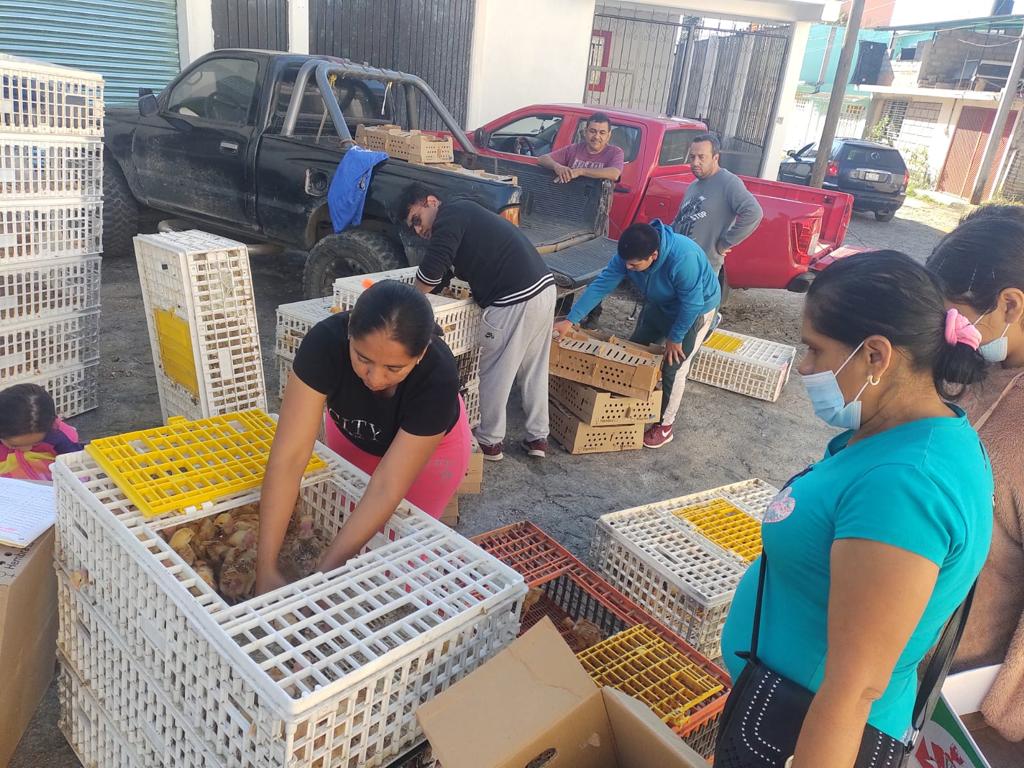 1669750858 826 DireccionDeLaMujer Por indicaciones del presidente de Tejupilco Lic Rigobert