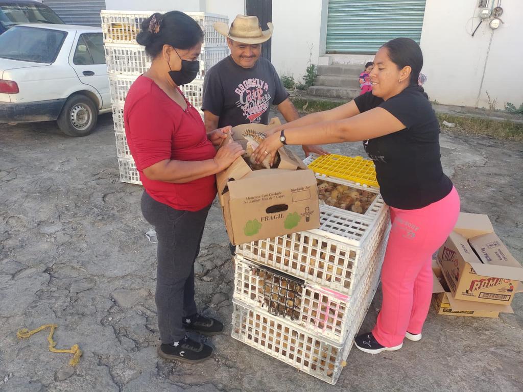 1669750866 DireccionDeLaMujer Por indicaciones del presidente de Tejupilco Lic Rigobert